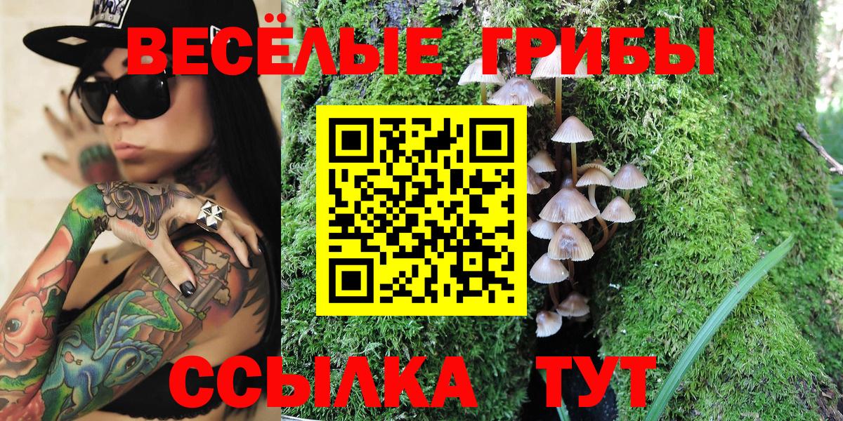 Псилоцибиновые грибы прущие грибы  Вход с VPN  Псилоцибиновые грибы мицелий  Карасук 