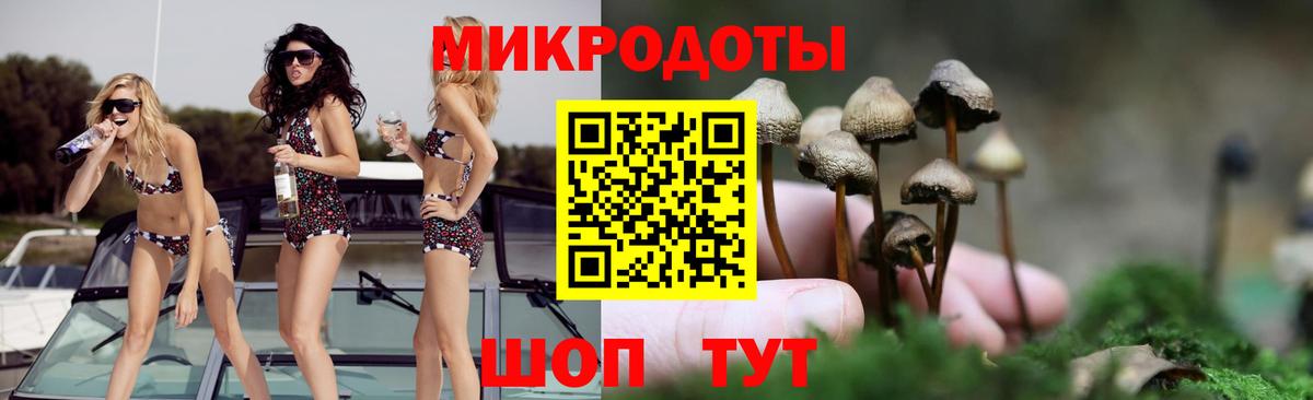Галлюциногенные грибы Cubensis Карасук